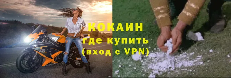 kraken   Богданович  Кокаин VHQ 